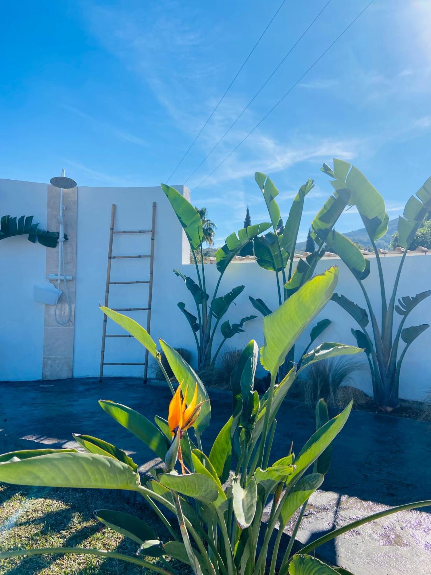 Casa Avellana Villa Denia Kültér fotó