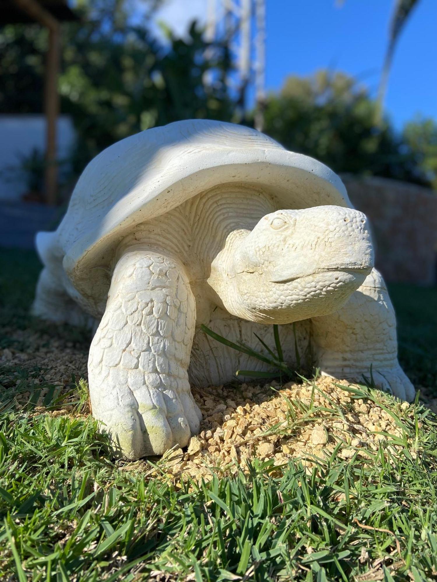 Casa Avellana Villa Denia Kültér fotó